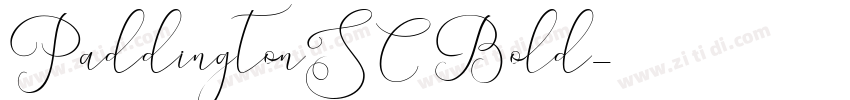 PaddingtonSC Bold字体转换